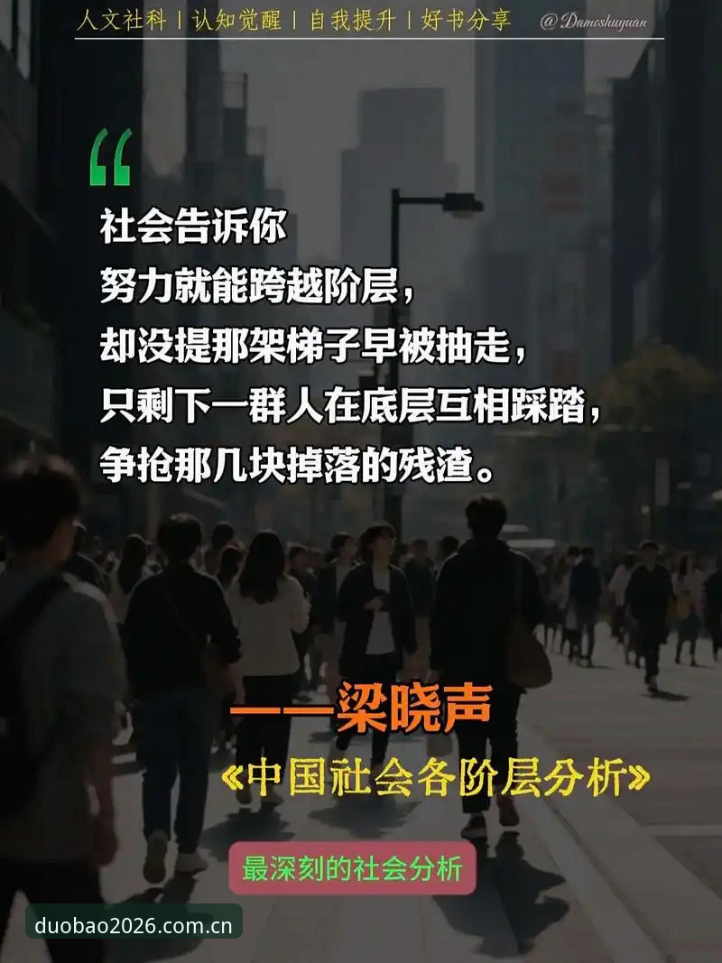 多宝体育用户评价 深度揭秘:多宝体育用户评价背后的真实体验与平台进化真相